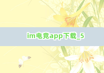 im电竞app下载