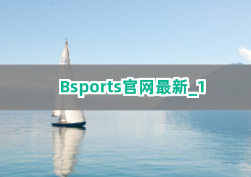 Bsports官网最新截圖1