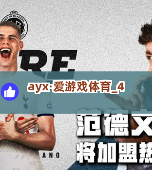 ayx·爱游戏体育截圖4