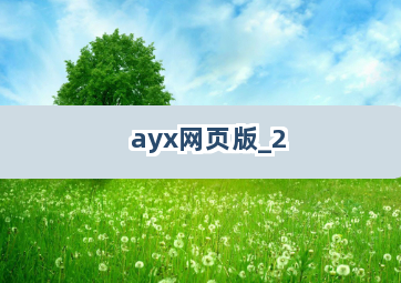 ayx网页版截圖2
