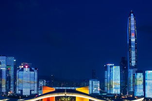 中國照明學會秘書長竇林平 行業變革時代到來,照明產業前景可期